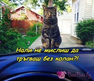 На вниманието на всички шофьори!