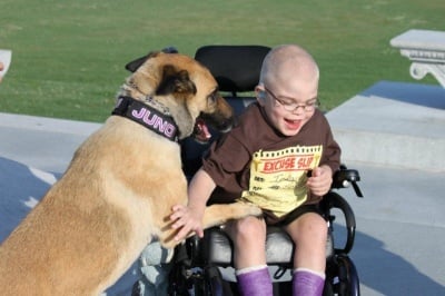 Обречено на смърт куче и неизлечимо болно момче спасяват живота си взаимно