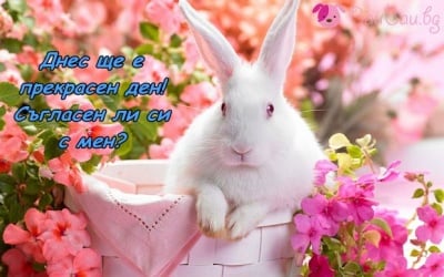 Нека бъде уникален ден!