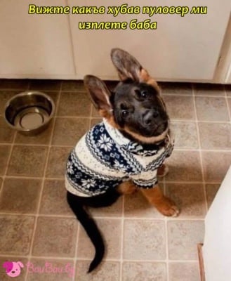 Хубав ли съм?