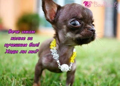 Неотразима както винаги!