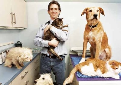 7 неща, които побъркват ветеринарите