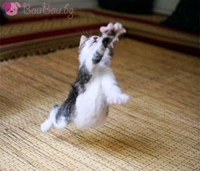 В невидимия плувен басейн