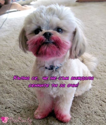 Невинна до доказване на противното