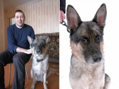 Незрящ стопанин спасява своето куче водач