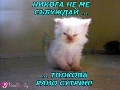 "Никога не ме събуждай толкова рано сутрин!"