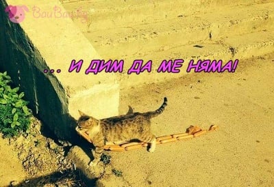 Никой не ме видя ...