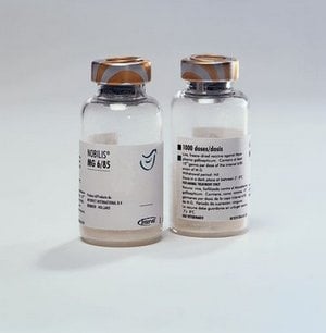 Нобилис МГ 6/85