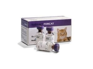 Нобивак Форкат