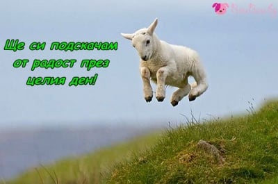 Нов ден, изпълнен с радост
