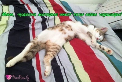 Тест на новото спално бельо