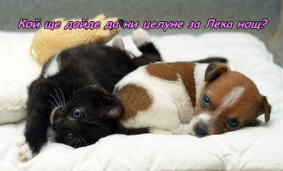 Някой си чака целувката за Лека нощ!