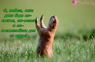 Сутрешна надежда