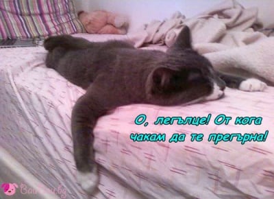 Време за лягане