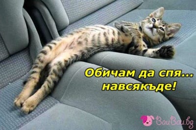 "Обичам да спя... навсякъде!"