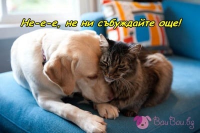 "Обичаме да спим до късно в събота!"