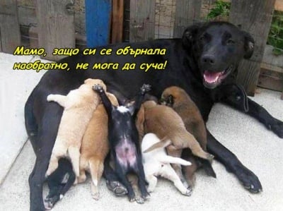 Обяд за всички и ... за един бъдещ космонавт!