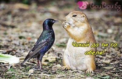 Обядът е най - вкусен, когато е споделен