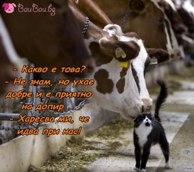 Общуването е безценен дар!