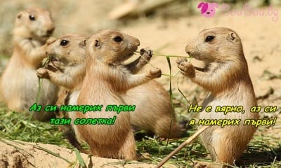 Ожесточен спор