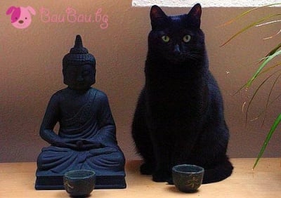 О-о-о-м-м-м-м!