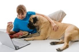 Полезна информаця за търсенето на животни / хора - онлайн