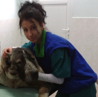 Д-р Деница Русева: Заболявания при хората, причинени от бълхи и кърлежи. Токсоплазмоза