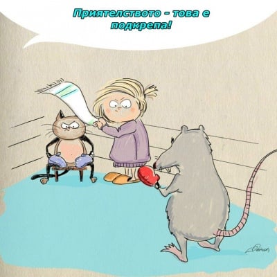 Определения за приятелството чрез весели моменти с котка