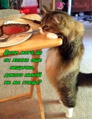 Още 2 сантиметра до целта!