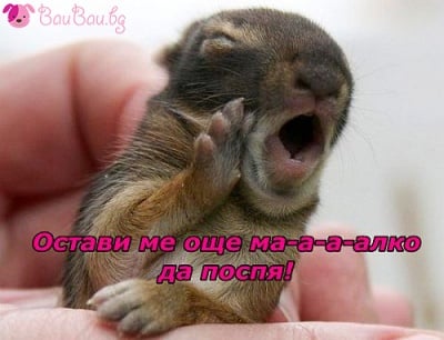 Малко същество с голяма прозявка