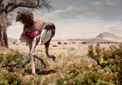 Нещо шеговито и секси