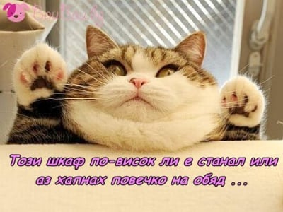 От утре на диета :)