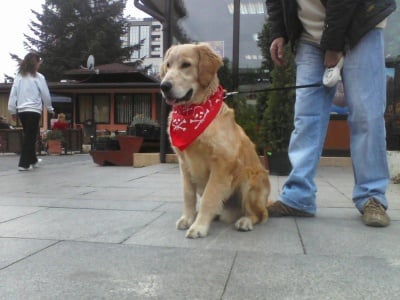 Марк Белята