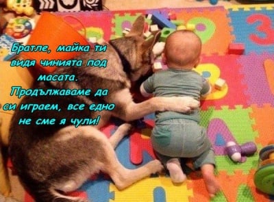 Пакостници в комбина