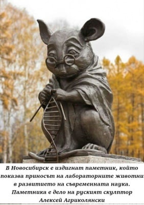 Паметник на Лабораторната мишка