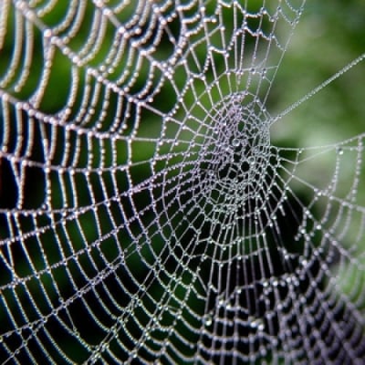 Коя е най - здравата нишка открита досега?