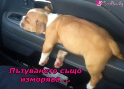 Изморен от път