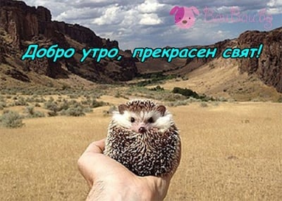 За един нов усмихнат ден!