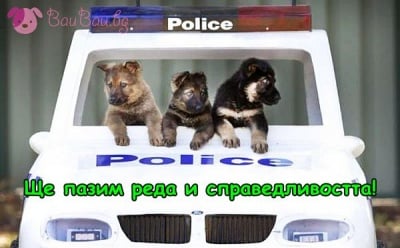 Бъдещи пазители на доброто