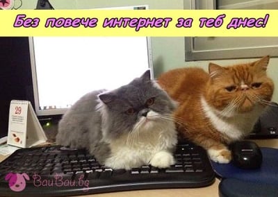 Пазители на здравето ни