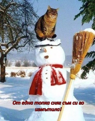 Пазителката на зимния дух