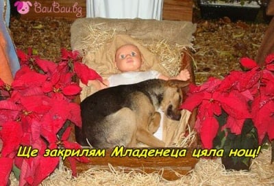 Пазителят на Младенеца