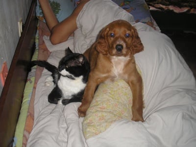 elza bami top4o i popi