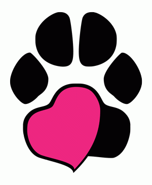 Поставиха първият на Балканите пейсмейкър на куче