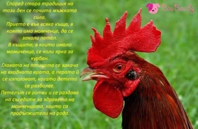 02 Февруари - Петльовден