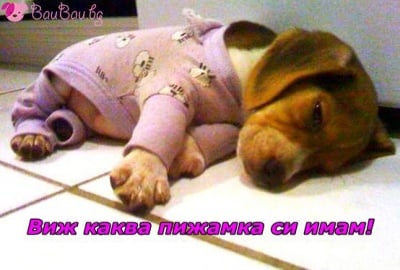 "Обличам одеждите за сън и си лягам!"