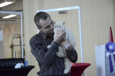 Победители в конкурса за редки породи котки в Paradise Center