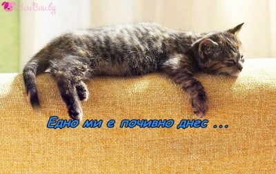 Почивен ден