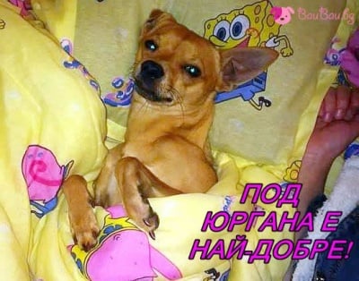 С мека възглавничка и топло юрганче