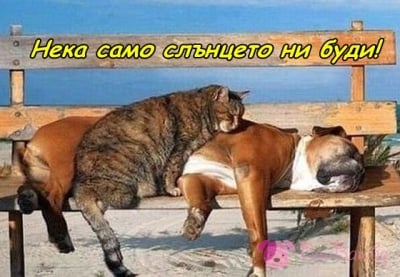 Под първите лъчи на слънцето